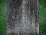 image of grave number 946900